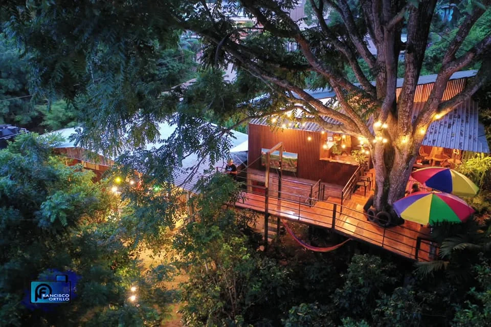 Café El Cedro
